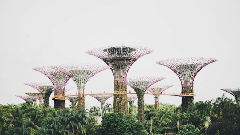 Gardens by the Bay Escape